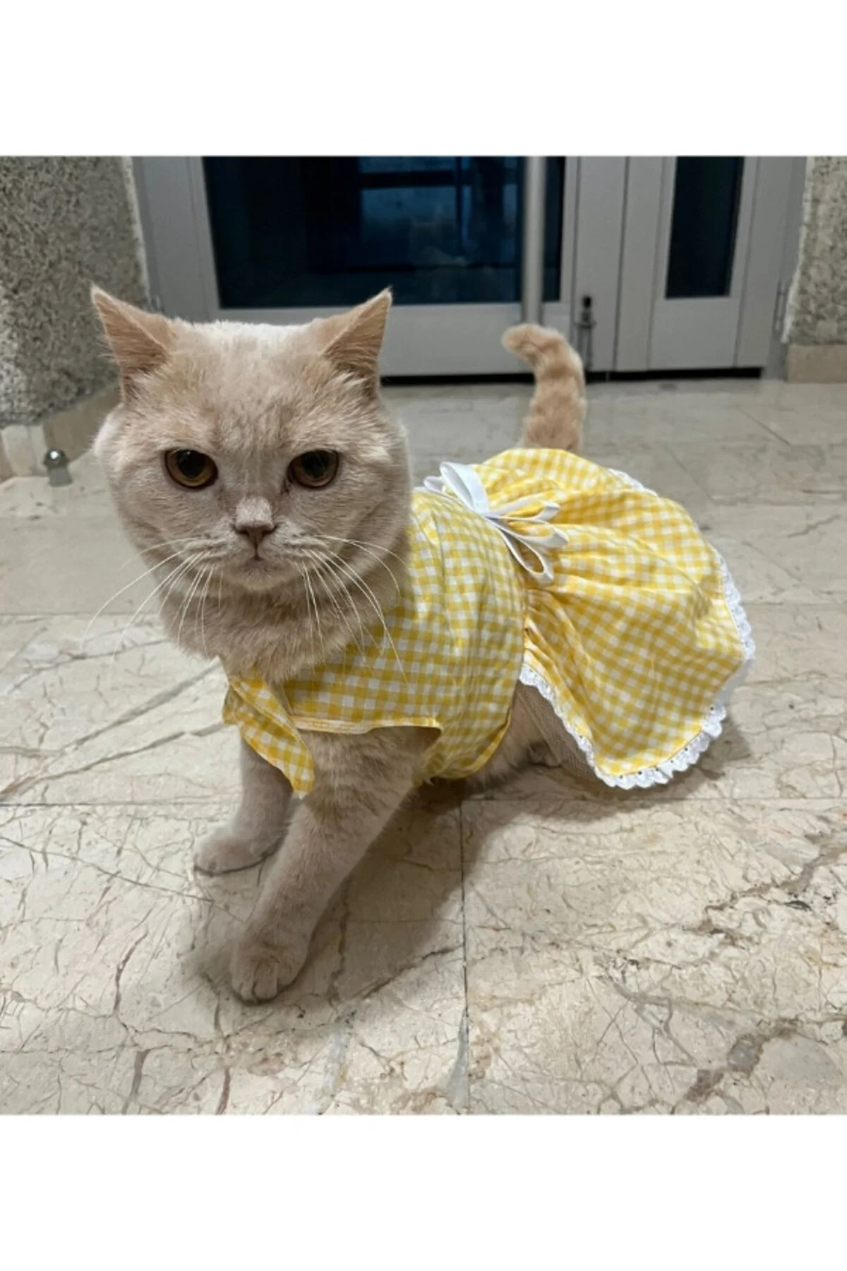 Sarı Beyaz Kareli Fiyonklu Kedi Köpek Kıyafeti Elbisesi Medium/M/