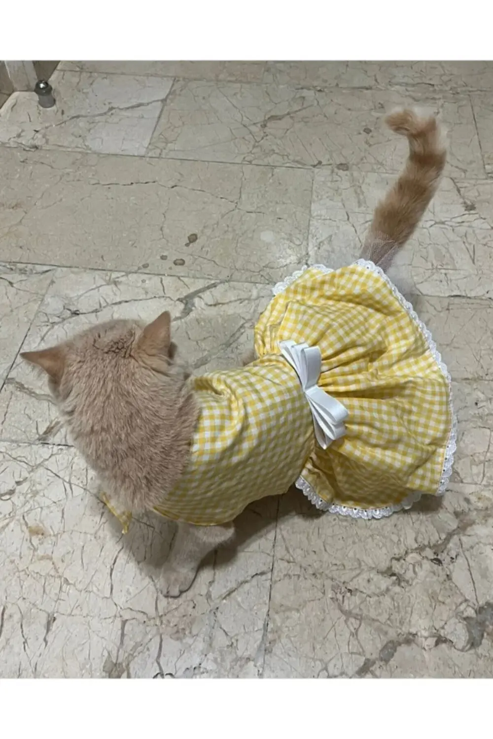 Sarı Beyaz Kareli Fiyonklu Cırtcırtlı Kedi Köpek Kıyafeti Elbises