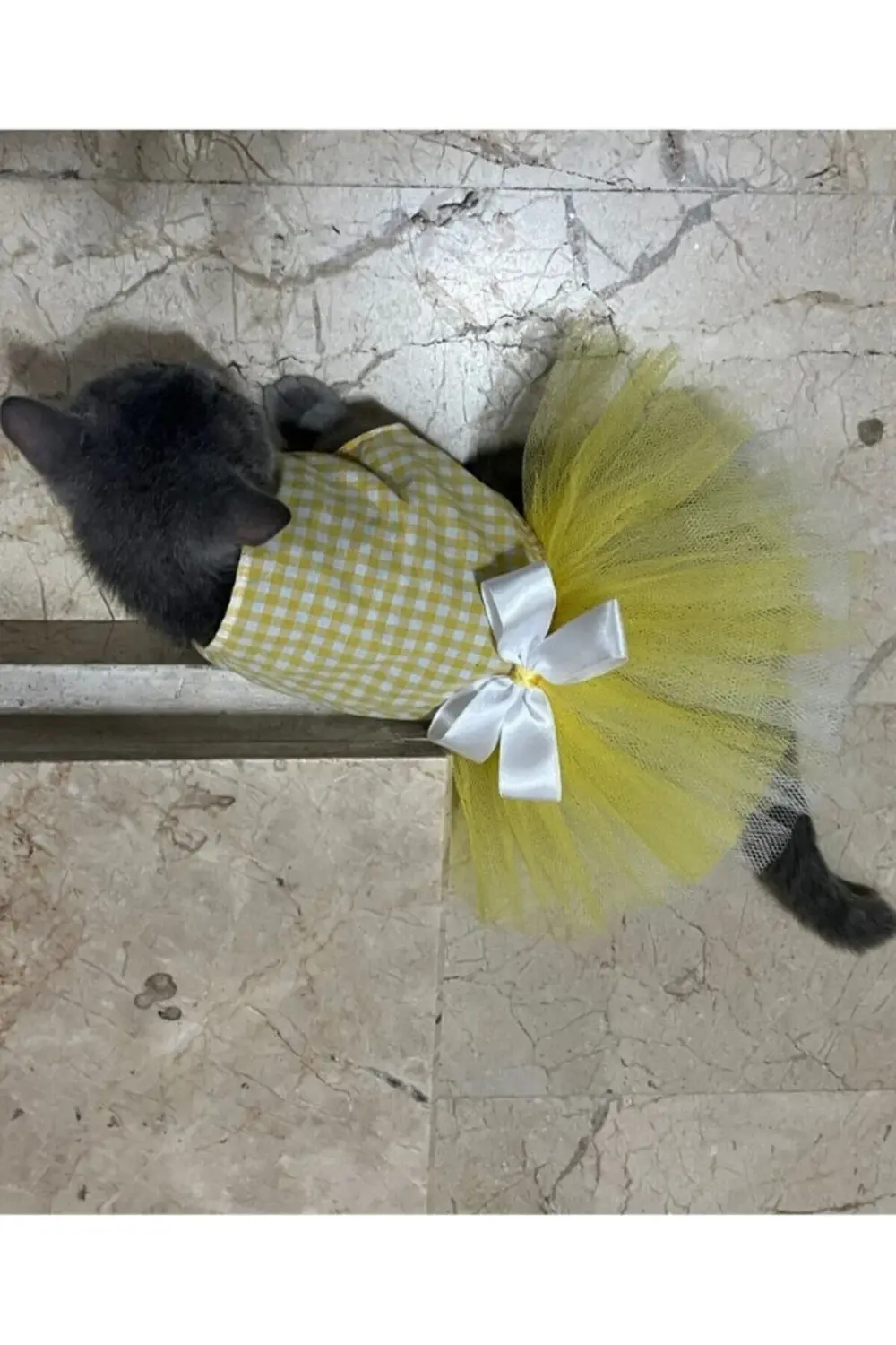 Sarı Beyaz Kareli Tüllü Fiyonklu Kedi Köpek Kıyafeti Elbisesi