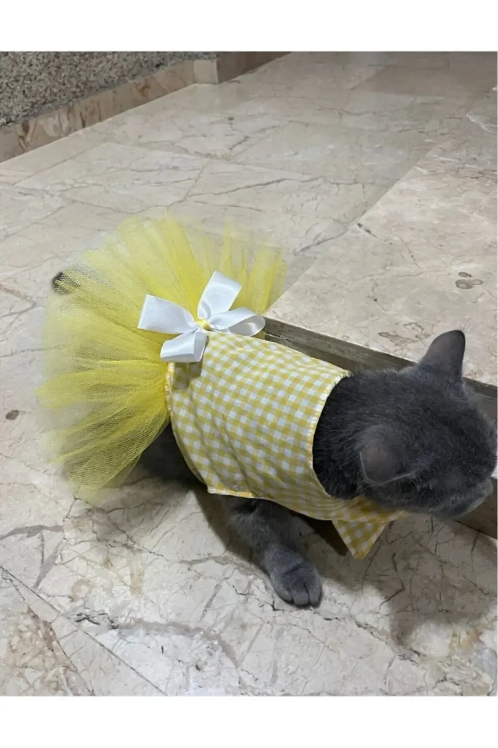 Sarı Beyaz Kareli Tüllü Fiyonklu Kedi Köpek Kıyafeti Elbisesi