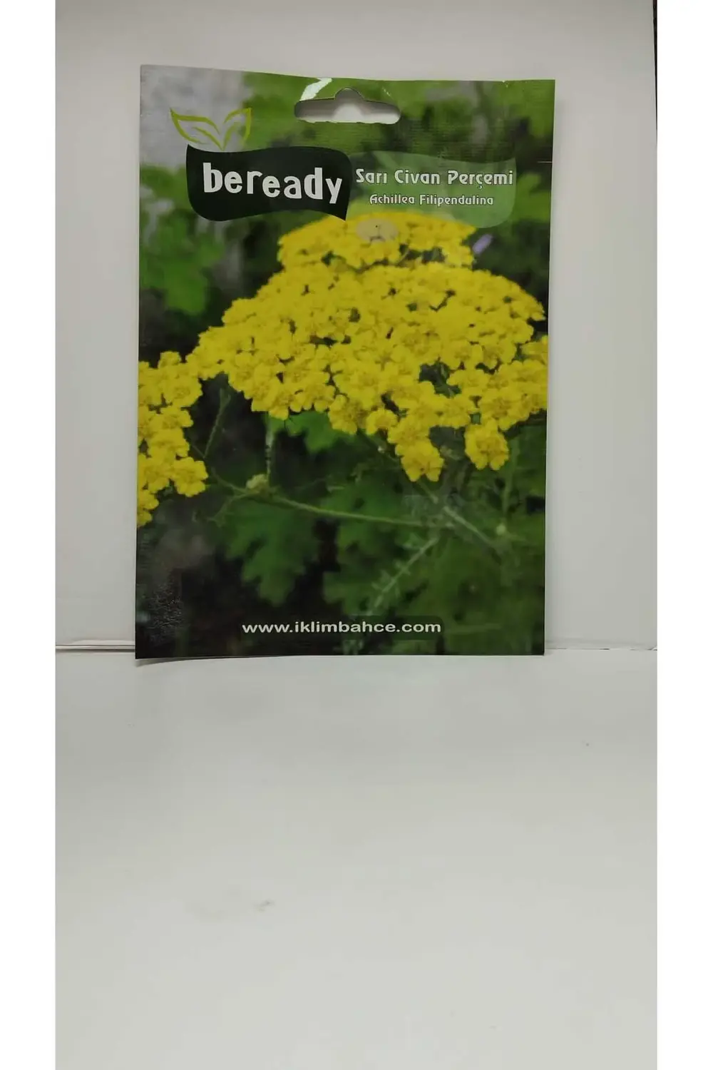 Sarı Civanperçemi Tohumu 3 Paket