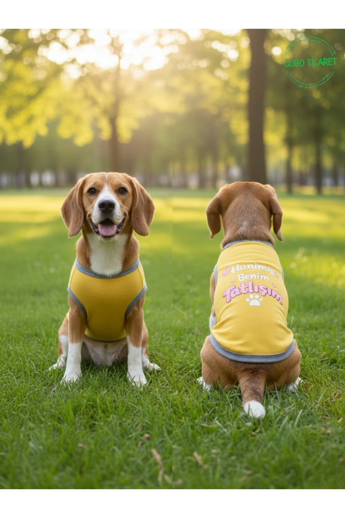 Sarı Hanimiş Benim Tatlışım Baskılı Kedi ve Köpek Kıyafeti Tişörtü Elbisesi Medium/M/Beden 2