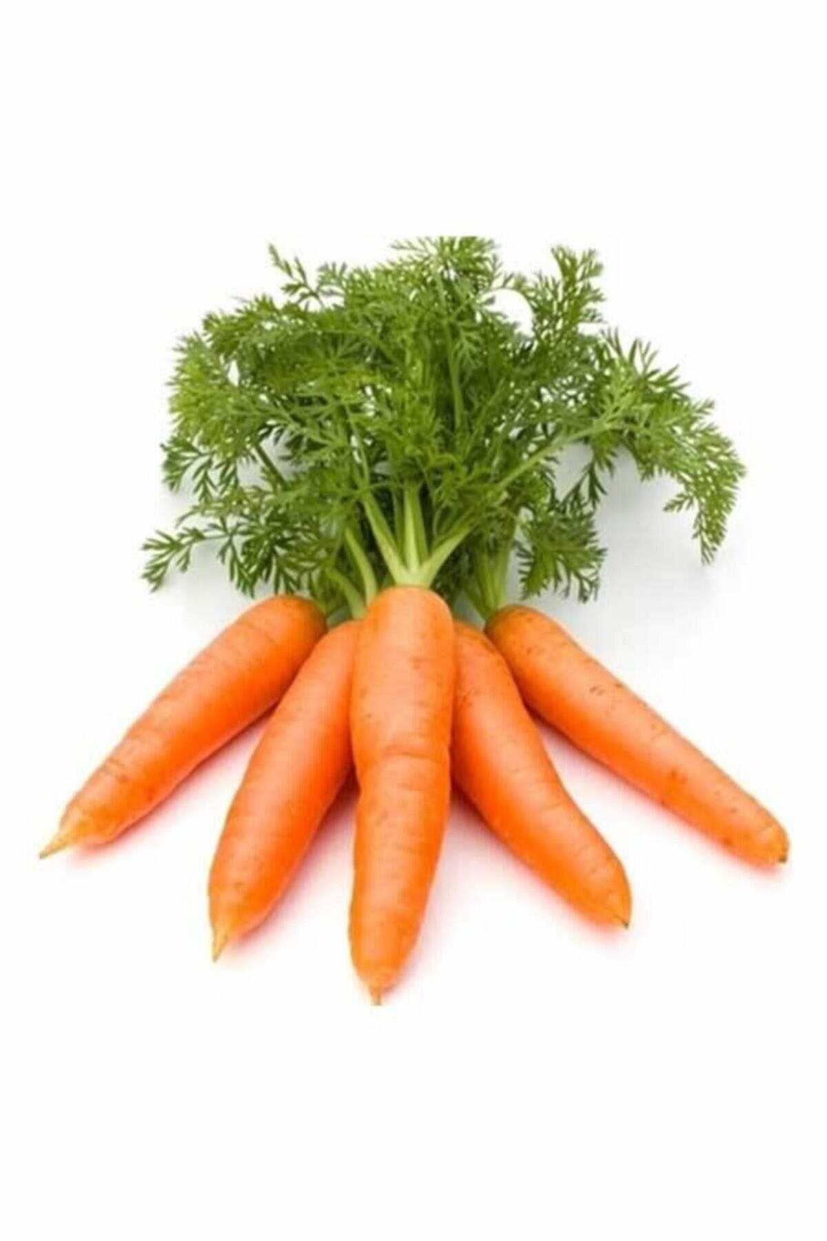 Just Cheap Store Sari Havuç Tohumu 10 Gr