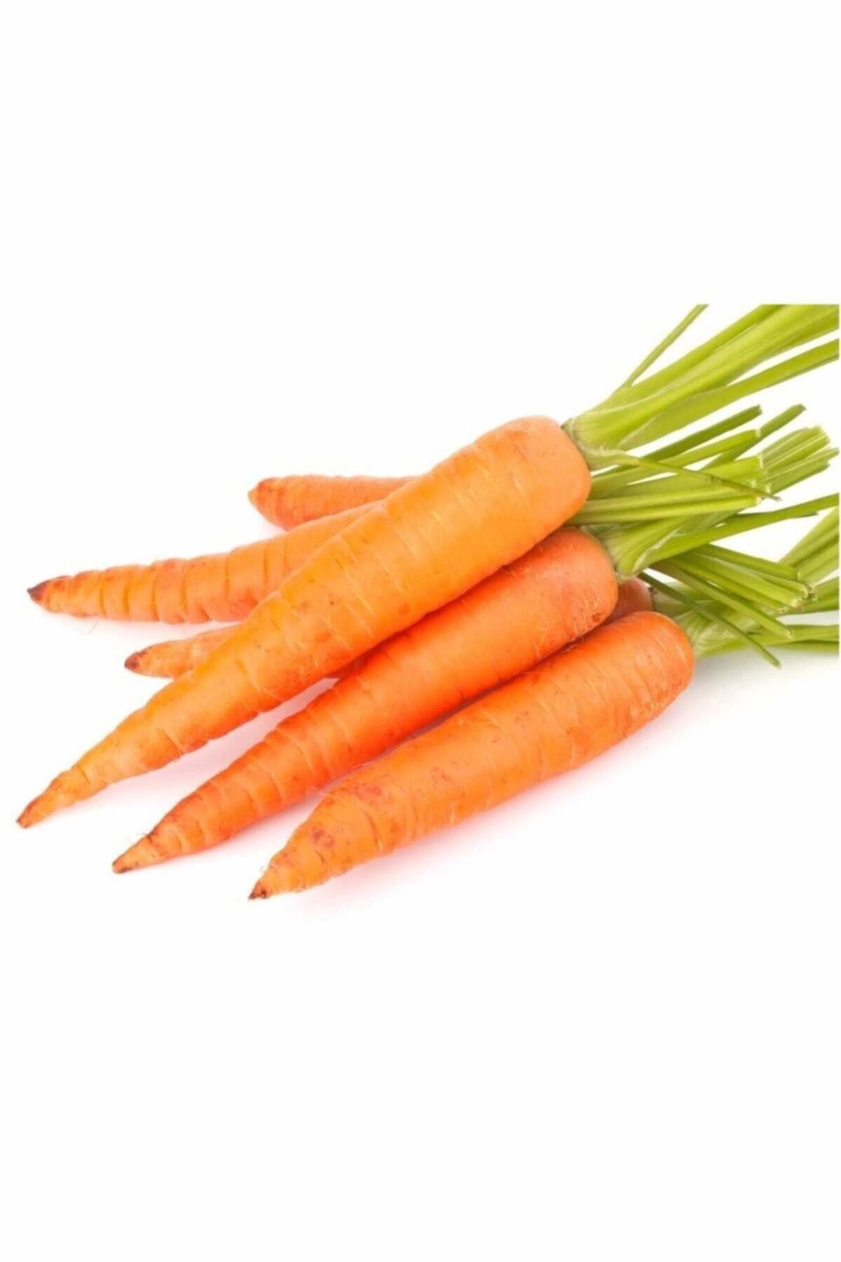 Just Cheap Store Sari Havuç Tohumu 10 Gr