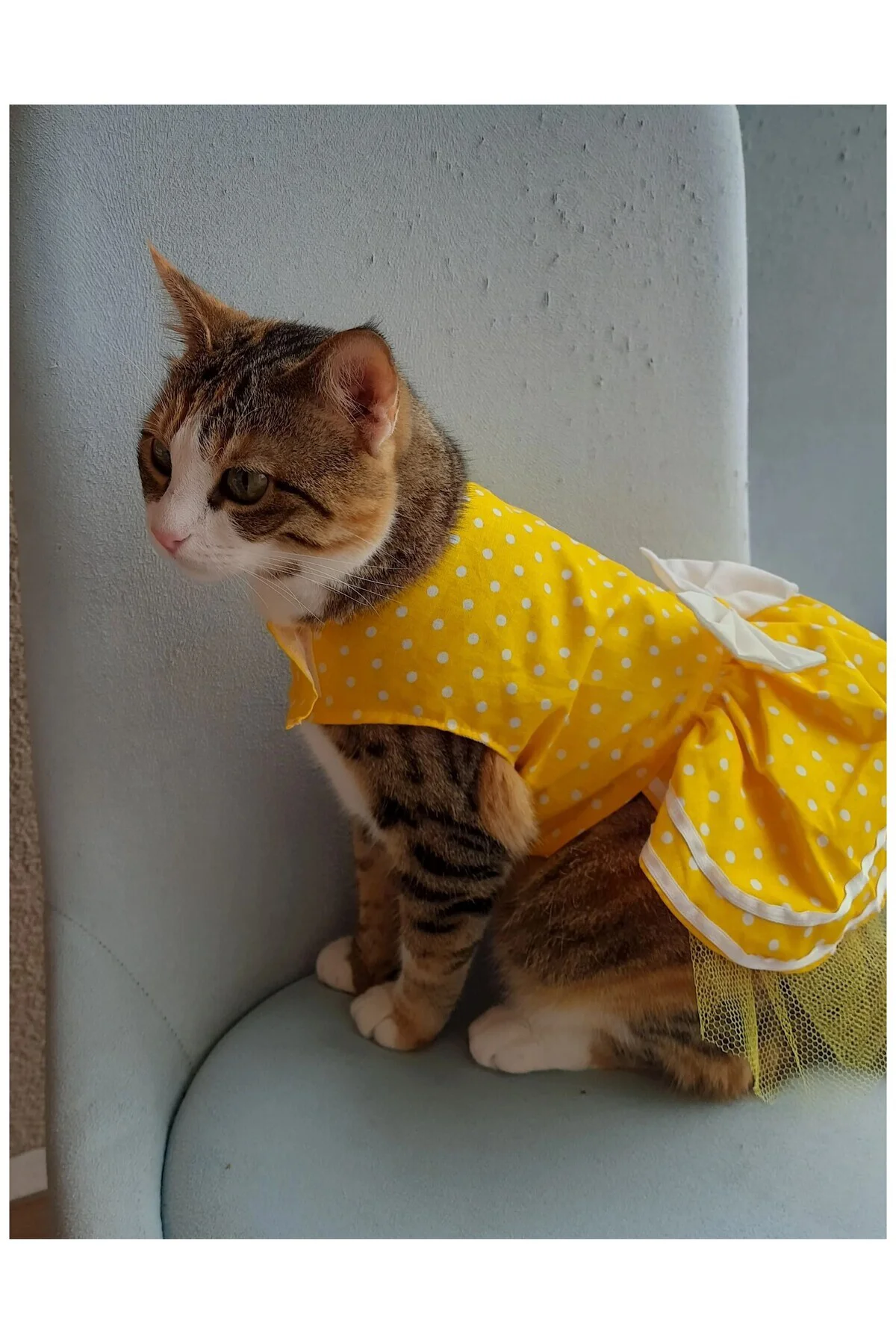 Sarı Puantiyeli Beyaz Papyonlu Kedi Köpek Kıyafeti Elbisesi Small