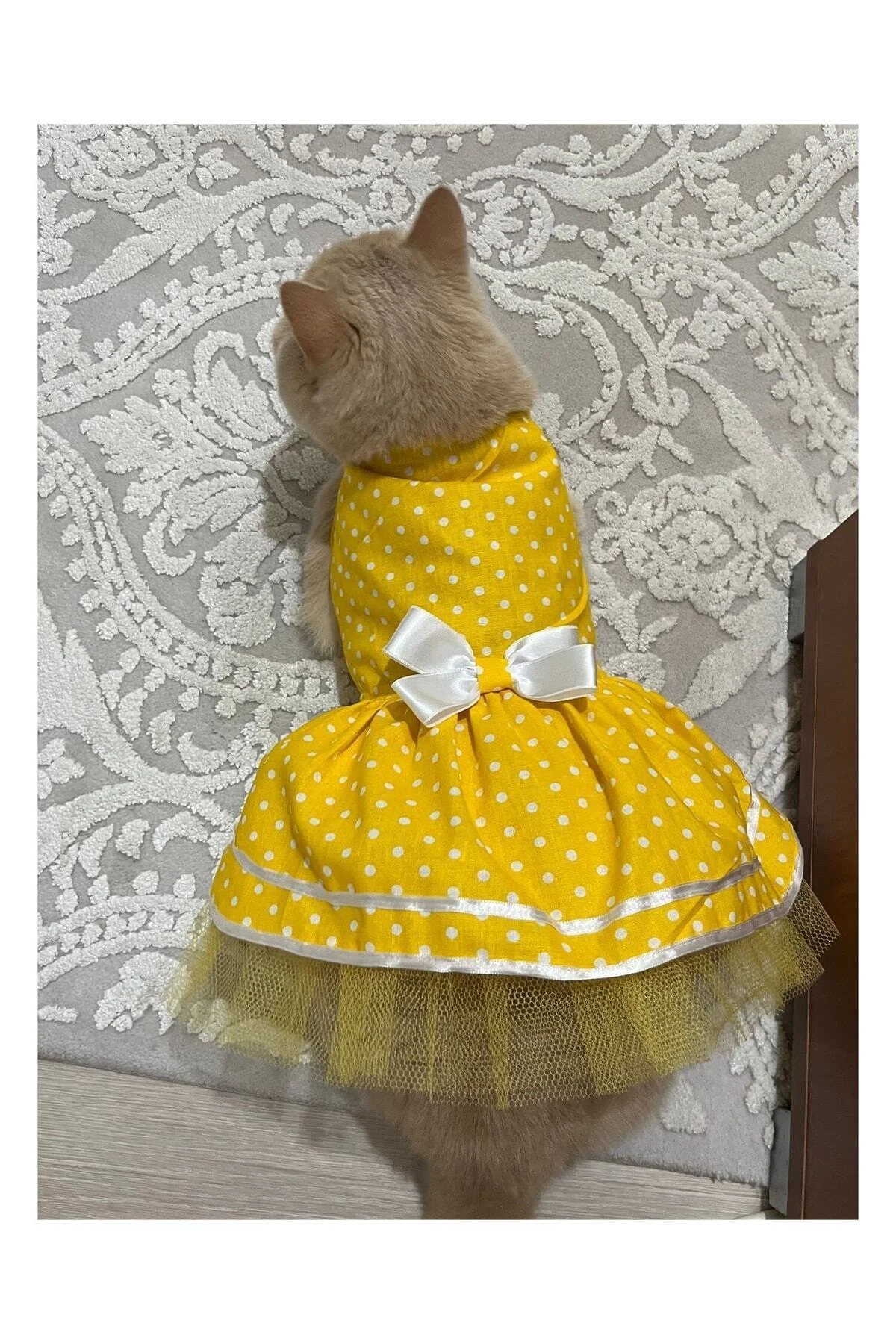 Sarı Puantiyeli Beyaz Papyonlu Kedi Köpek Kıyafeti Elbisesi Small
