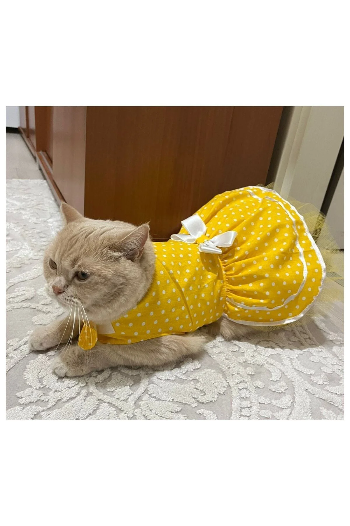 Sarı Puantiyeli Beyaz Papyonlu Kedi Köpek Kıyafeti Elbisesi Small