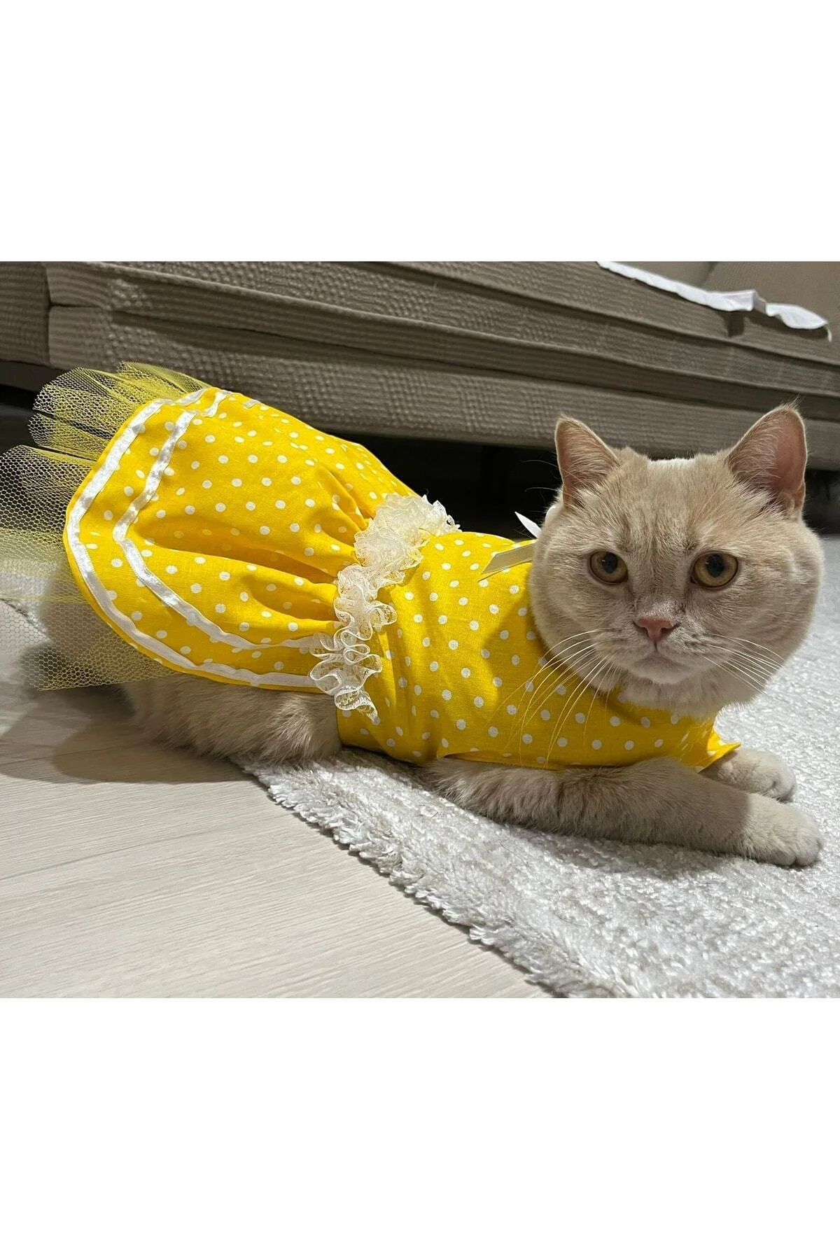 Sarı Puantiyeli Kurdeleli Kedi Köpek Kıyafeti Elbisesi