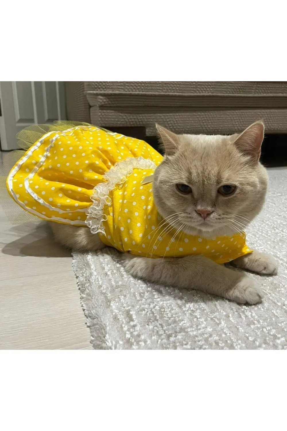 Sarı Puantiyeli Kurdeleli Kedi Köpek Kıyafeti Elbisesi