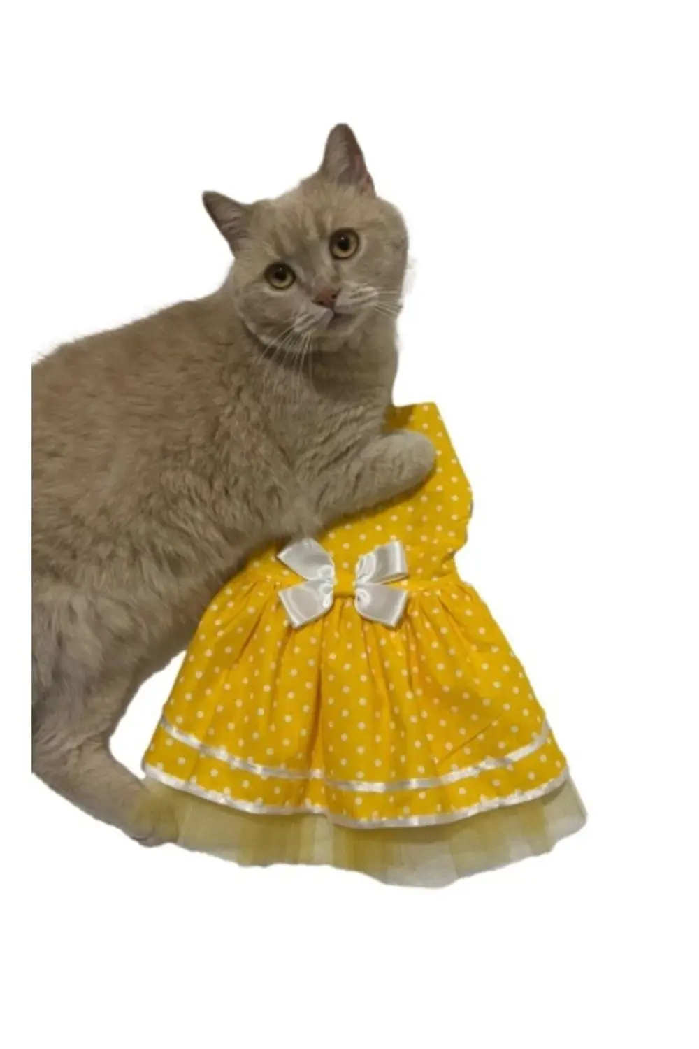 Sarı Puantiyeli Papyonlu Kedi Köpek Kıyafeti Elbisesi
