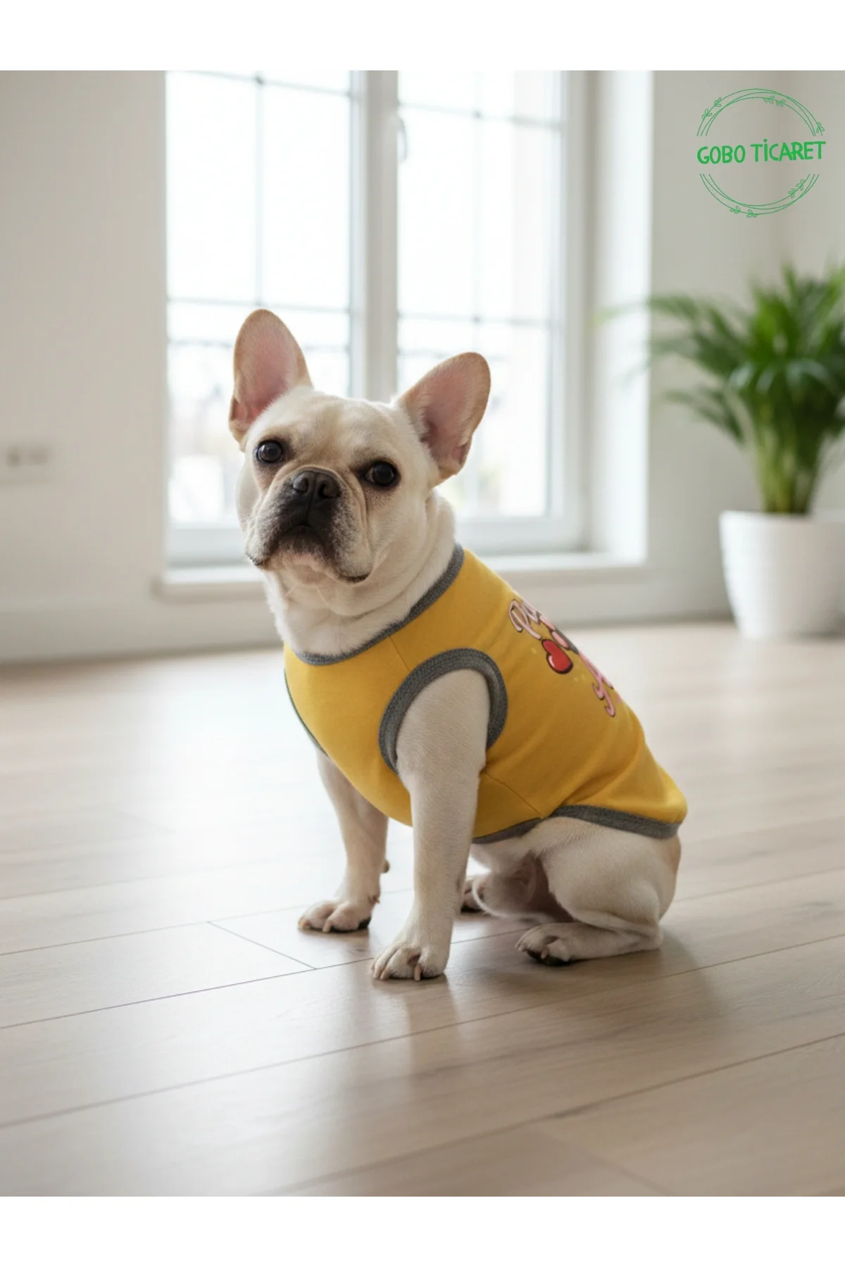 Sarı Renkli Patili Aşk Baskılı Kedi ve Köpek Kıyafeti Tişörtü Elb