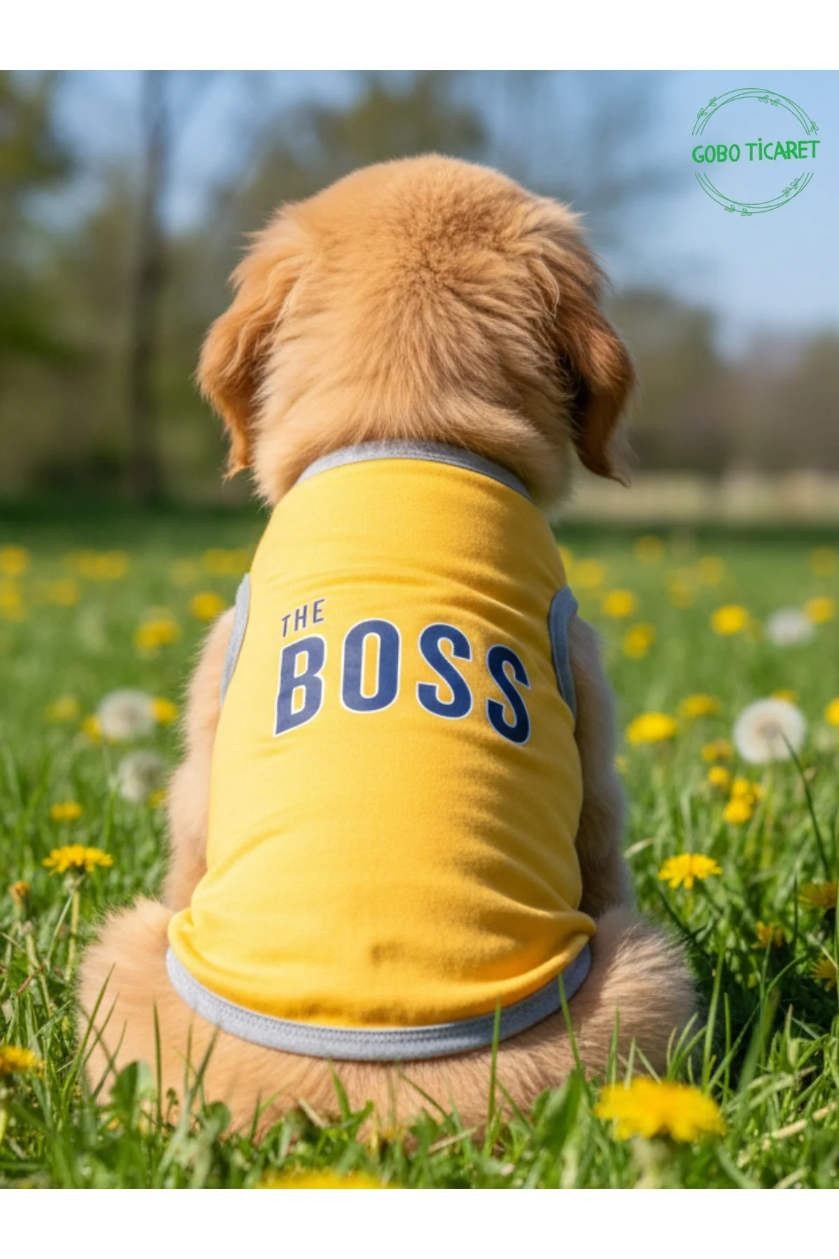 Sarı The Boss (Patron) Yazılı Kedi ve Köpek Kıyafeti Tişörtü Elbi