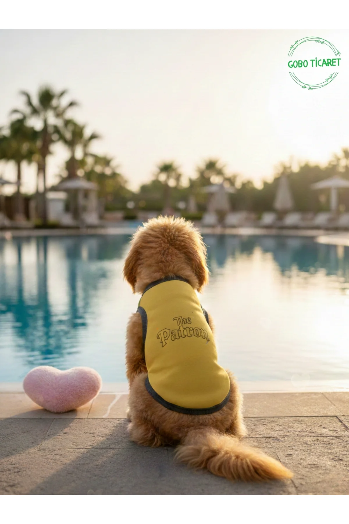 Sarı The Patron Yazılı Kedi ve Köpek Kıyafeti Tişörtü Elbisesi XS