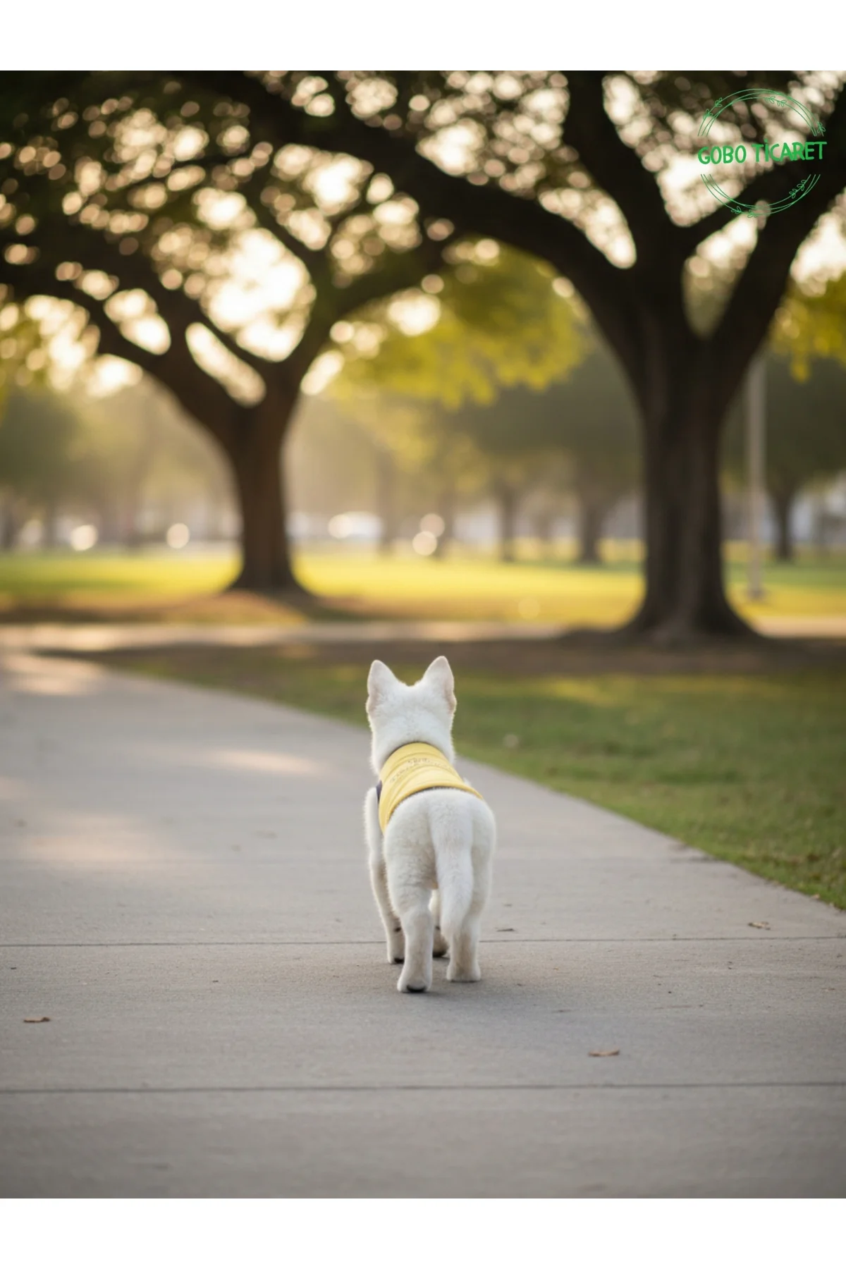 Sarı The Patron Yazılı Kedi ve Köpek Kıyafeti Tişörtü Elbisesi XS