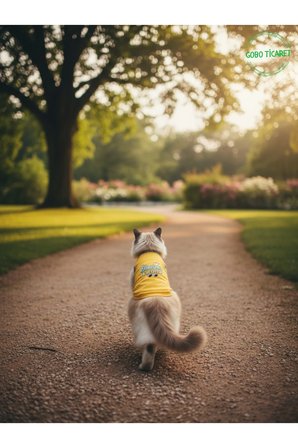 Sarı Yürüyen Karizma Yazılı Kedi ve Köpek Kıyafeti Tişörtü Elbise