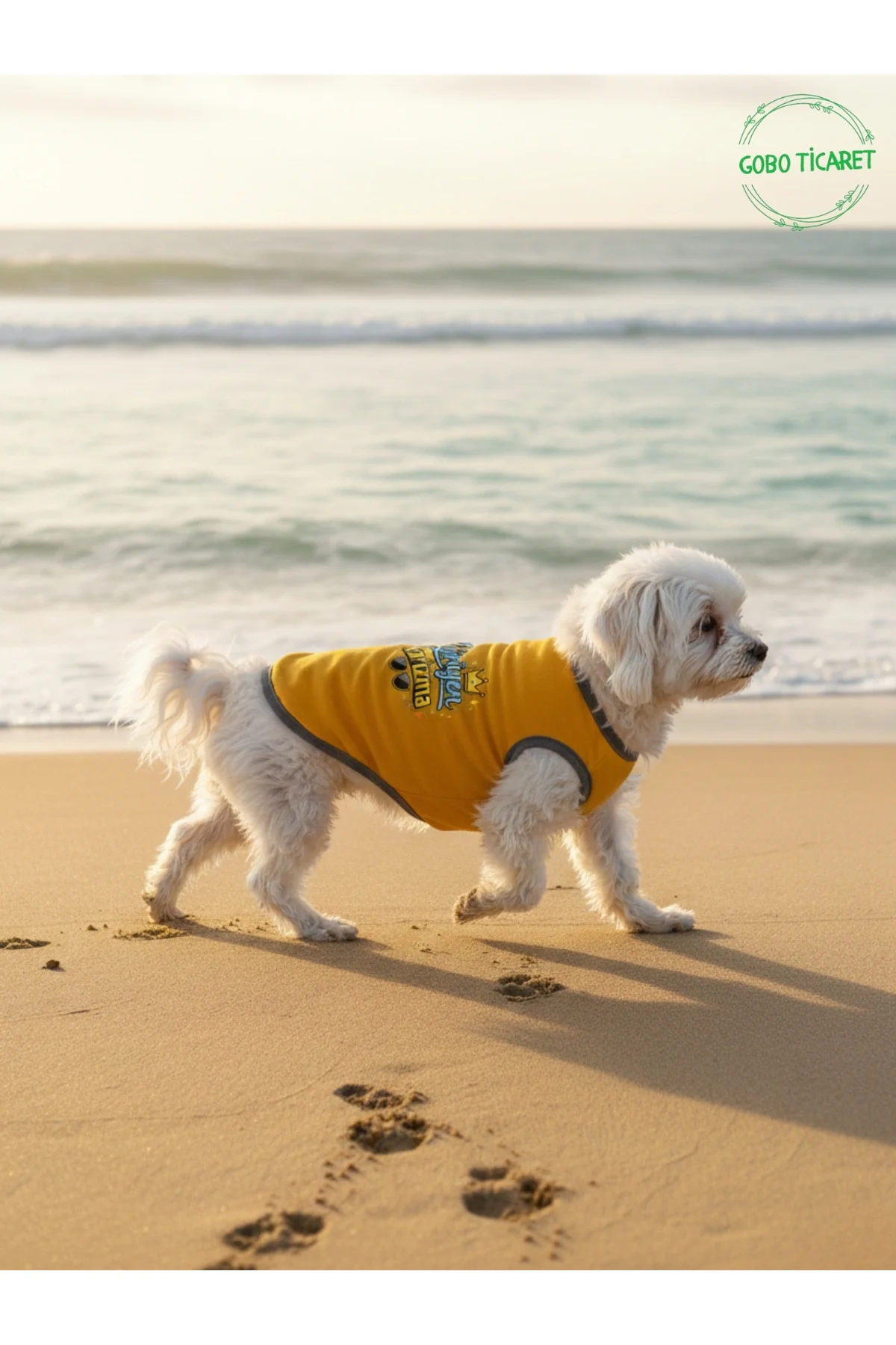 Sarı Yürüyen Karizma Yazılı Kedi ve Köpek Kıyafeti Tişörtü Elbise