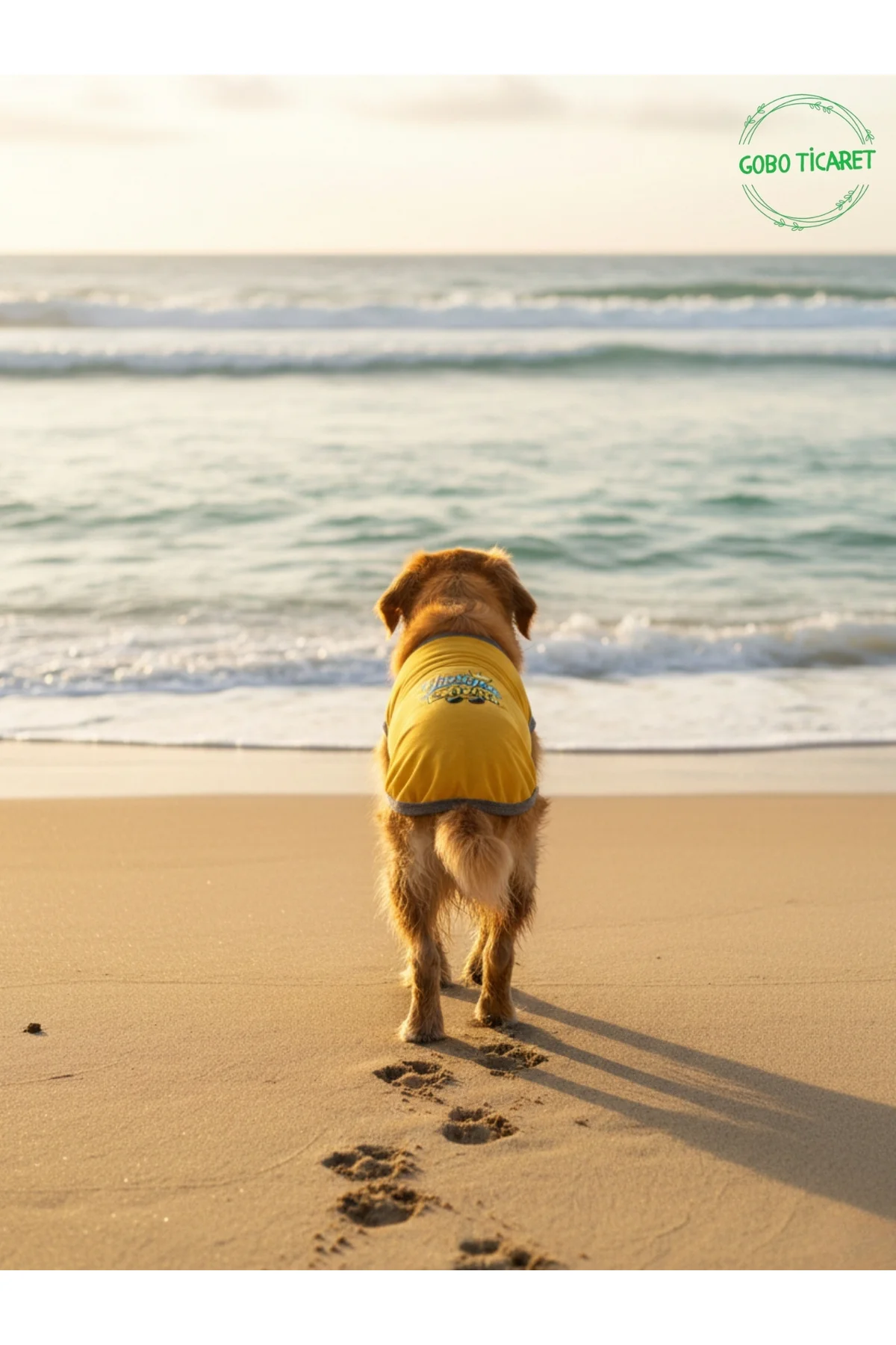 Sarı Yürüyen Karizma Yazılı Kedi ve Köpek Kıyafeti Tişörtü Elbise