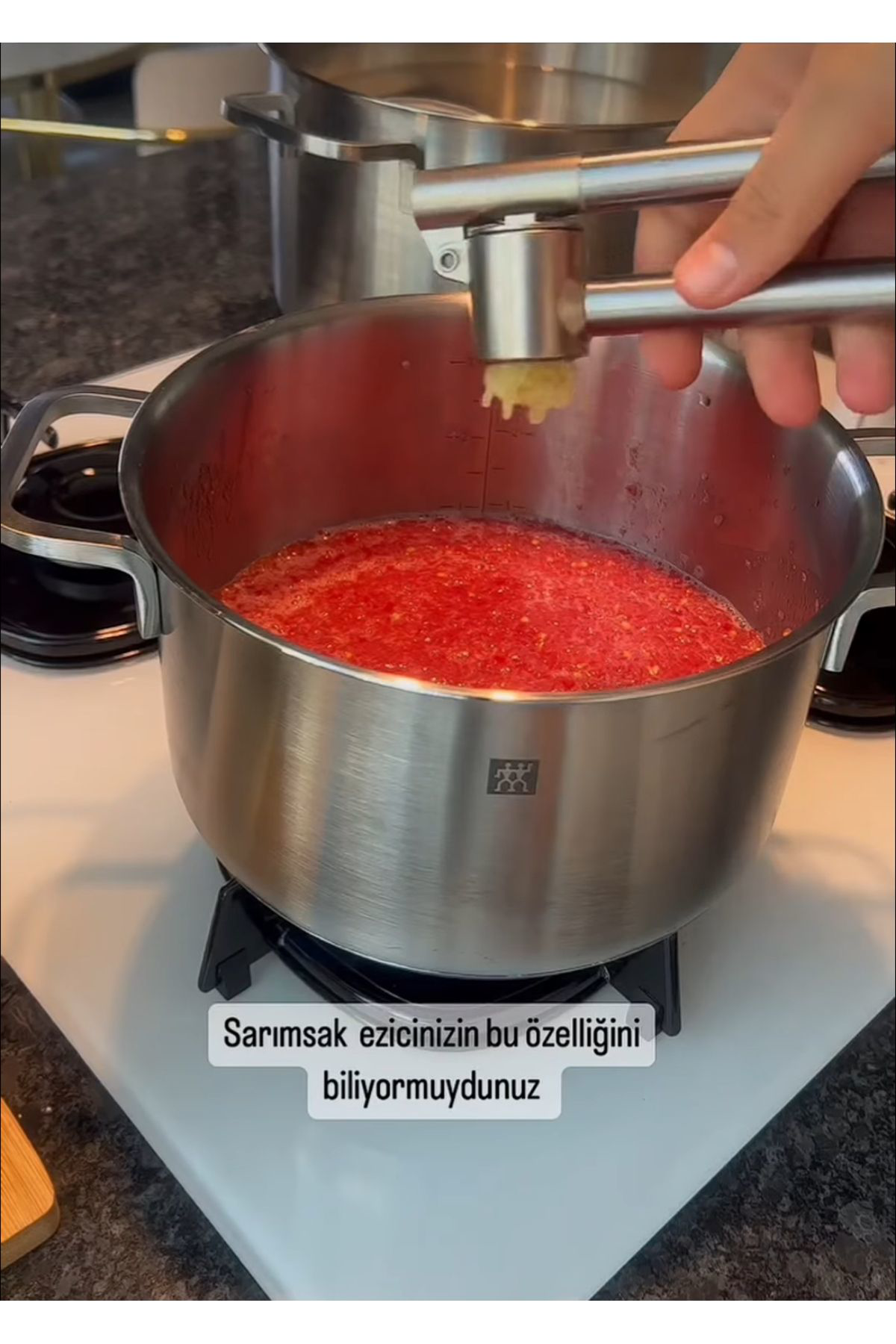 İvory Sarımsak Ezici Metal Sarımsağı Soymadan At İvo-Se104 4294