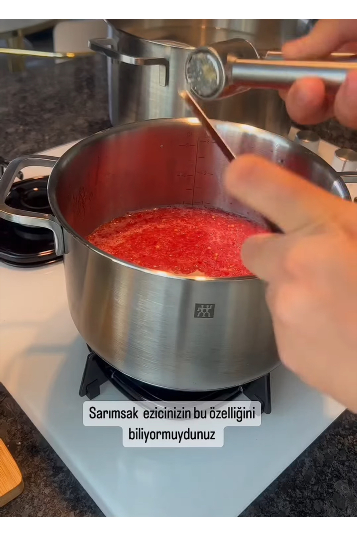 İvory Sarımsak Ezici Metal Sarımsağı Soymadan At İvo-Se104 4294