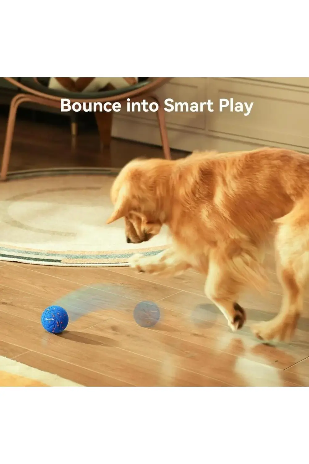 Şarjlı Akıllı İneraktif Köpek Top Oyuncağı Mavi 7X7X7 Cm Şarjlı Akıllı İneraktif Köpek Top Oyuncağı Mavi 7X7X7 Cm