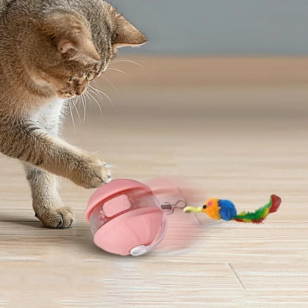 Şarjlı Hareketli Kedi Topu Oyuncak Fiyatı, Yorumları ve Özellikleri