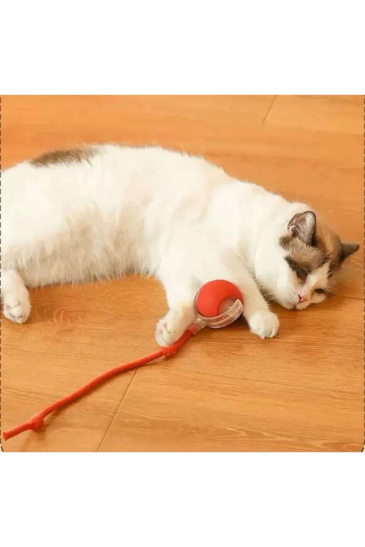 Şarjlı Kedi Oyuncağı