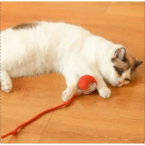 Şarjlı Kedi Oyuncağı Fiyatı, Yorumları ve Özellikleri
