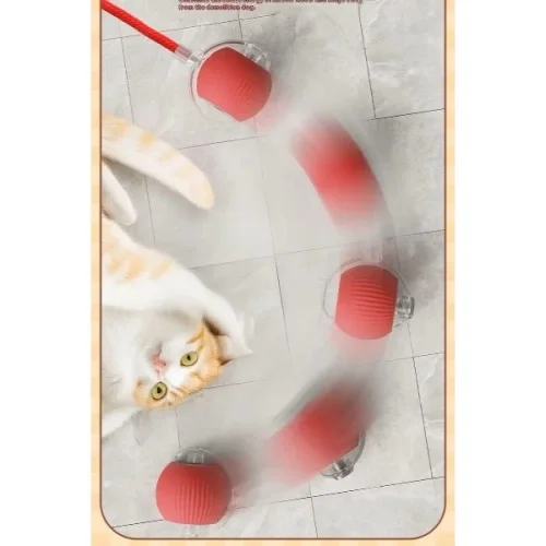Şarjlı Kedi Oyuncağı Fiyatı, Yorumları ve Özellikleri