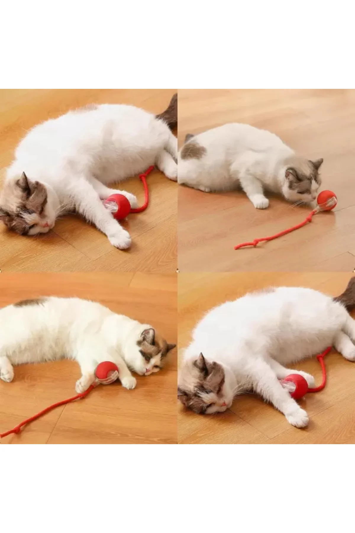 Şarjlı Kedi Oyuncağı