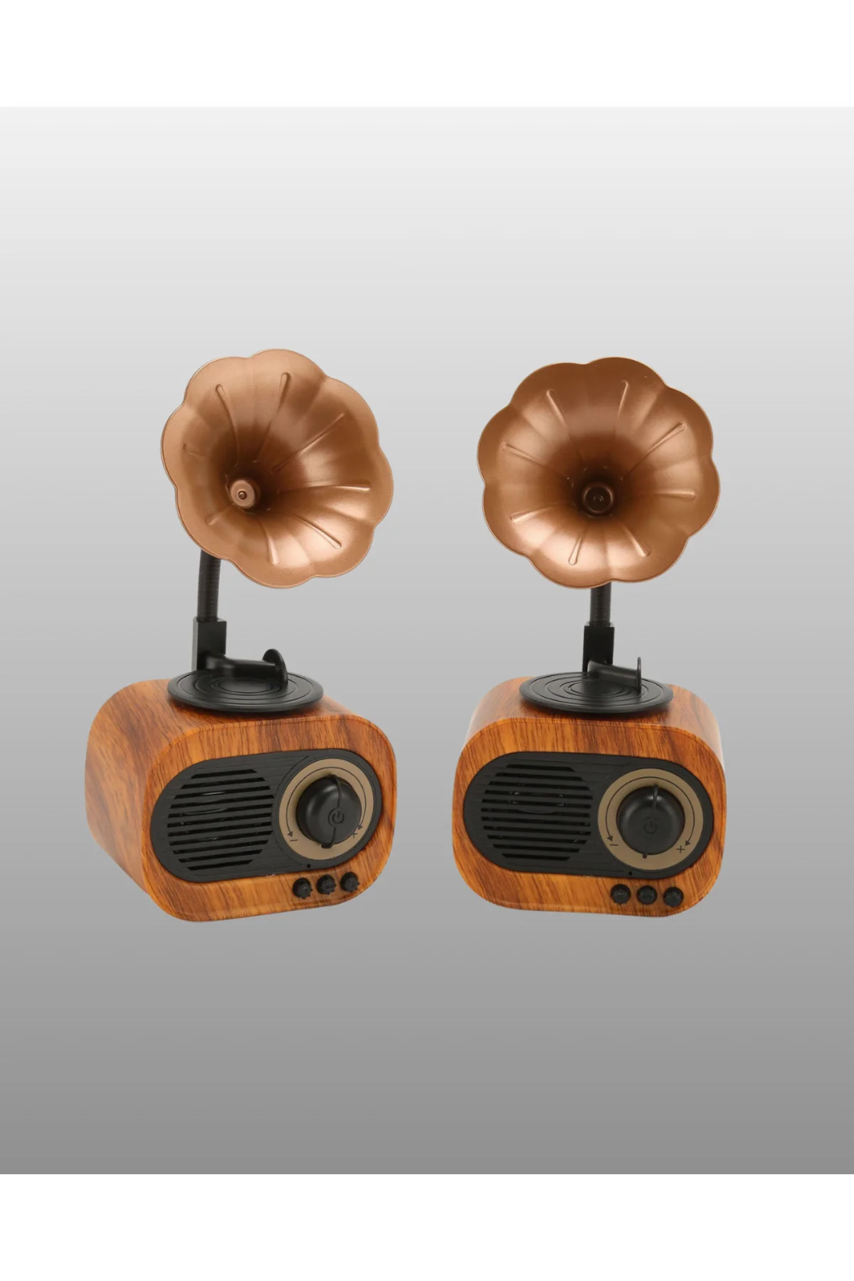 Şarjlı Mini Retro Radyo Bluetooth Hoparlör Çoklu Bağlantı Seçenekli