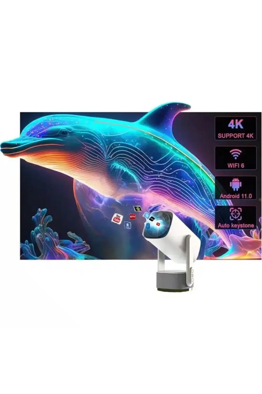 Şarjlı Projeksiyon