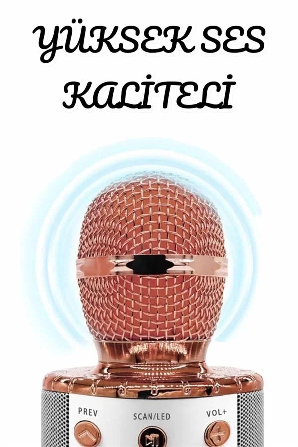 Şarjlı ve Uzun Pil Ömürlü Karaoke Mikrofon USB Bellek Destekli, Profesyonel Ses Şarjlı ve Uzun Pil Ömürlü Karaoke Mikrofon USB Bellek Destekli, Profesyonel Ses