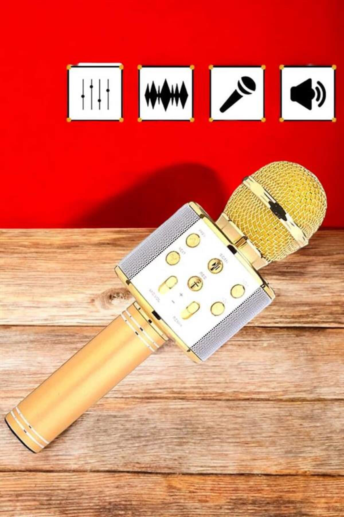 Şarjlı ve Uzun Pil Ömürlü Karaoke Mikrofon USB Bellek Destekli, P