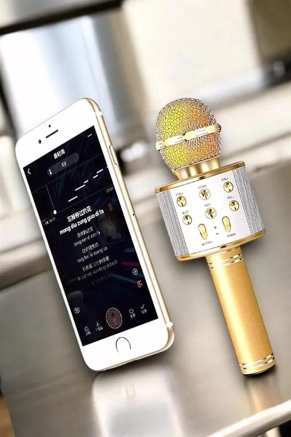 Şarjlı ve Uzun Pil Ömürlü Karaoke Mikrofon USB Bellek Destekli, Profesyonel Ses - Lisinya