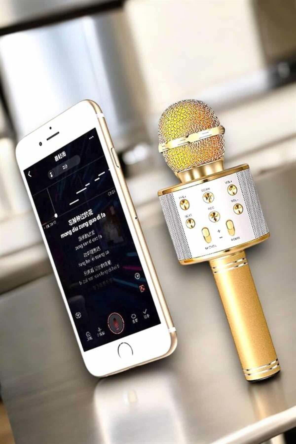 Şarjlı ve Uzun Pil Ömürlü Karaoke Mikrofon USB Bellek Destekli, P