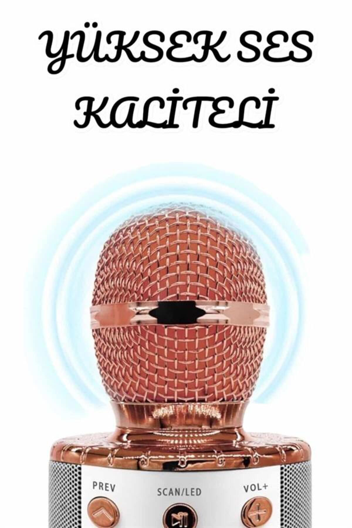 Şarjlı ve Uzun Pil Ömürlü Karaoke Mikrofon USB Bellek Destekli, P