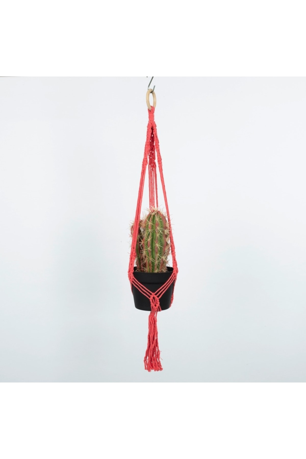 Sarkaç Çiçeklik Pembe