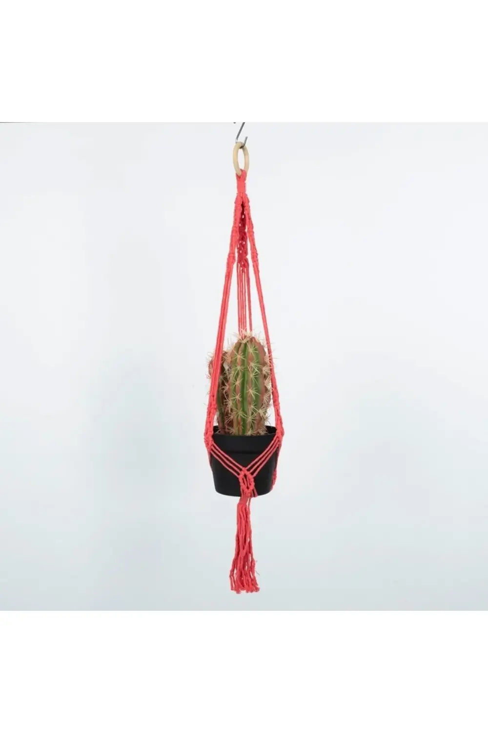 Sarkaç Çiçeklik Pembe