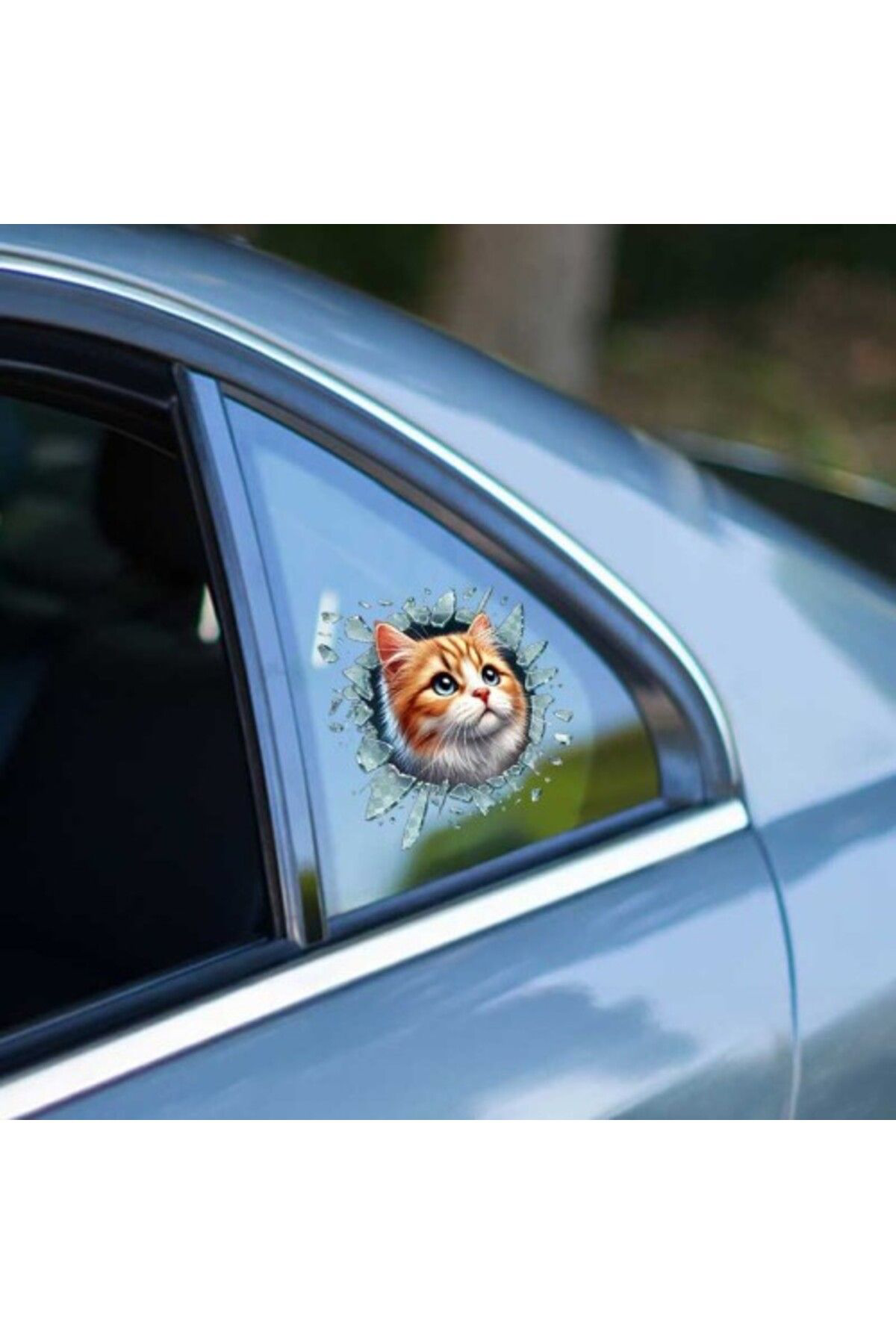 Jet Garaj Sarman Araç Stickerı