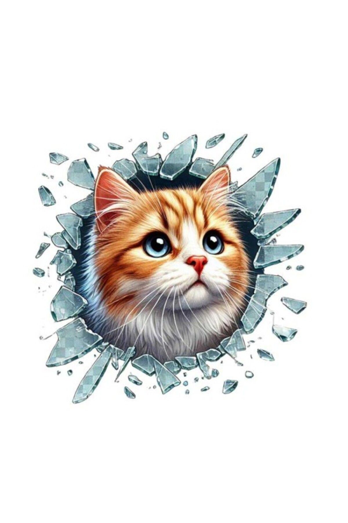 Jet Garaj Sarman Araç Stickerı