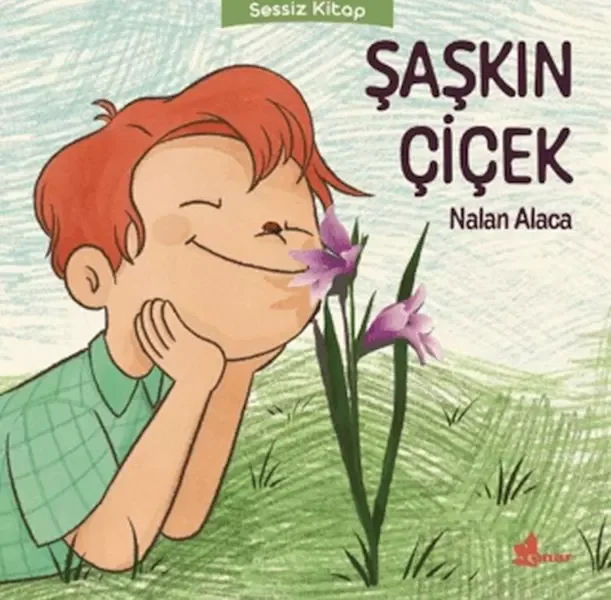 Şaşkın Çiçek Fiyatı, Yorumları ve Özellikleri