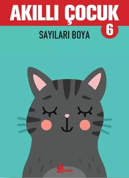 Sayıları Boya - Akıllı Çocuk 6 Fiyatı, Yorumları ve Özellikleri