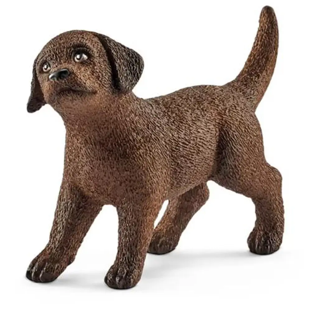 SCHLEICH 13835 YAVRU LABRADOR RETRIEVER-5