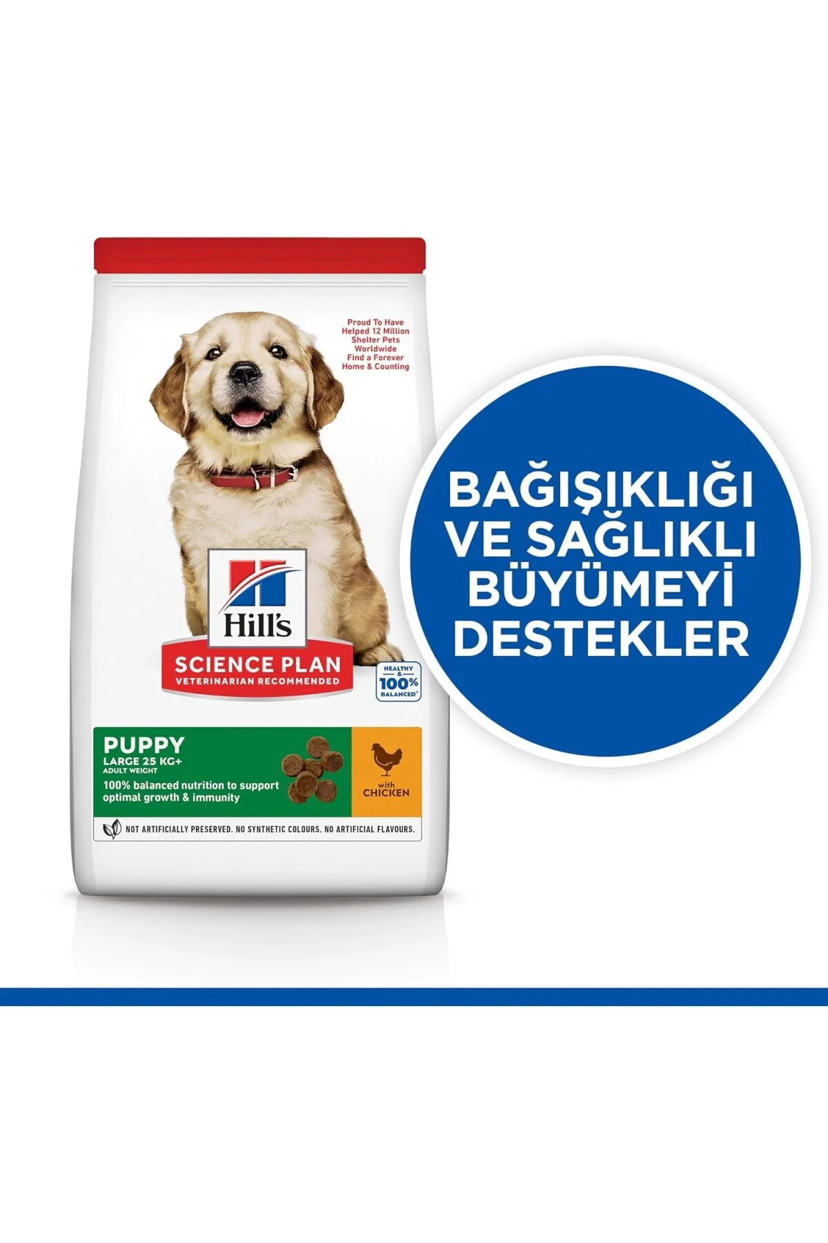 SCIENCE PLAN Büyük Irk Tavuklu Yavru Köpek Maması 14.5 kg
