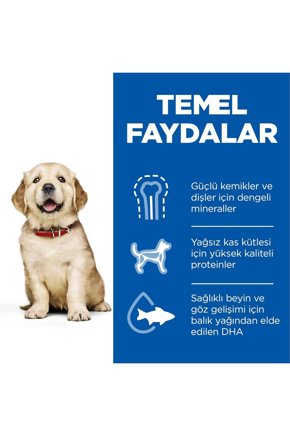 SCIENCE PLAN Büyük Irk Tavuklu Yavru Köpek Maması 14.5 kg