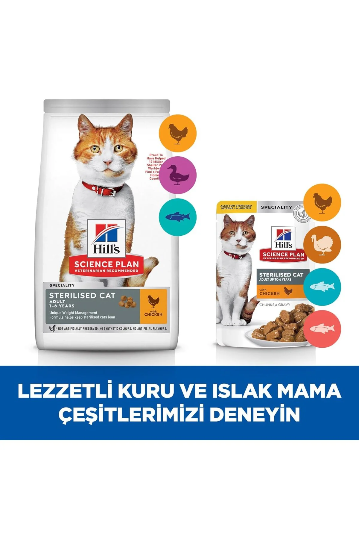 SCIENCE PLAN Kısırlaştırılmış Yetişkin Tavuklu Kedi Maması 8+2 kg SCIENCE PLAN Kısırlaştırılmış Yetişkin Tavuklu Kedi Maması 8+2 kg