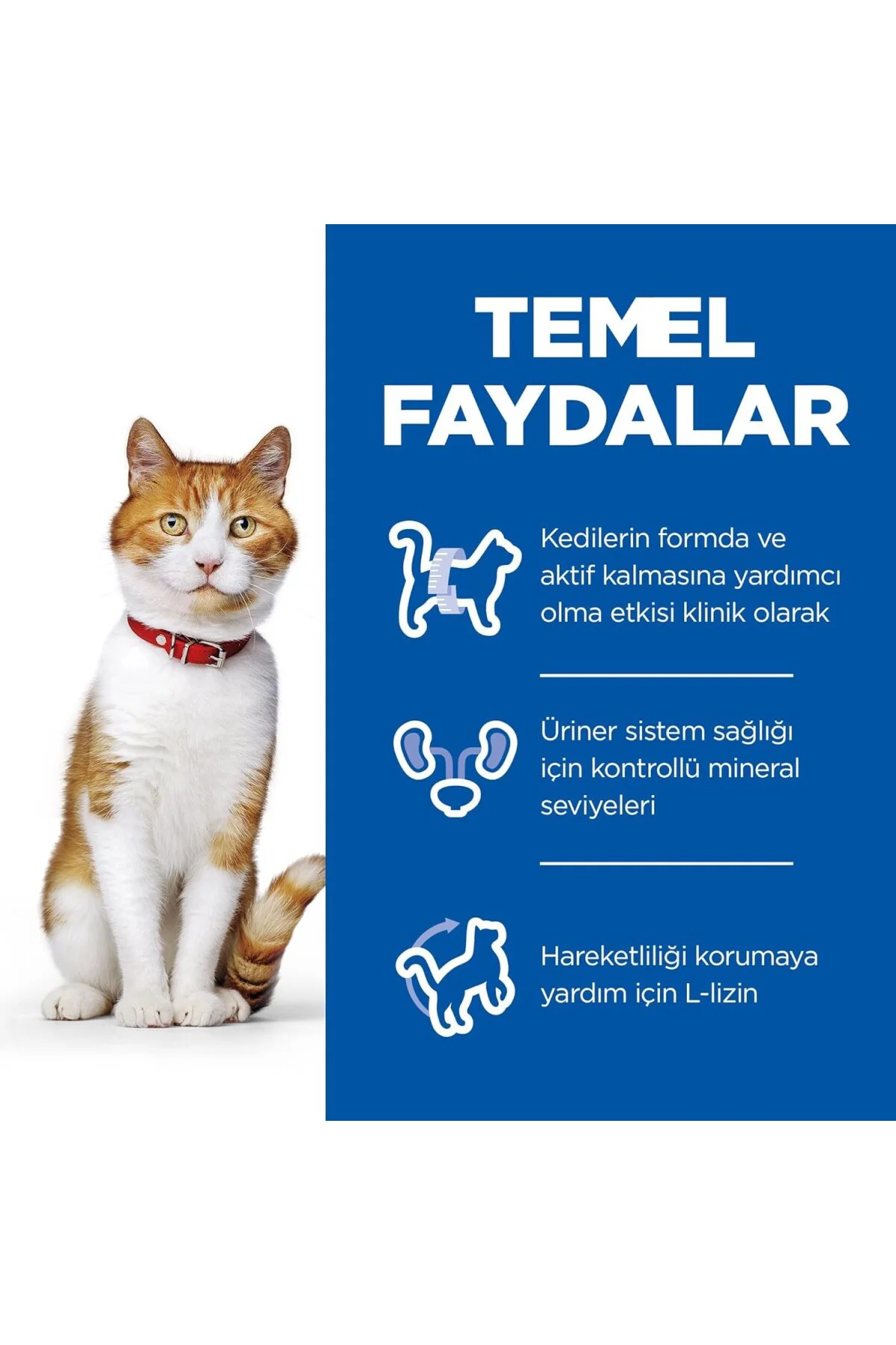 SCIENCE PLAN Kısırlaştırılmış Yetişkin Tavuklu Kedi Maması 8+2 kg SCIENCE PLAN Kısırlaştırılmış Yetişkin Tavuklu Kedi Maması 8+2 kg