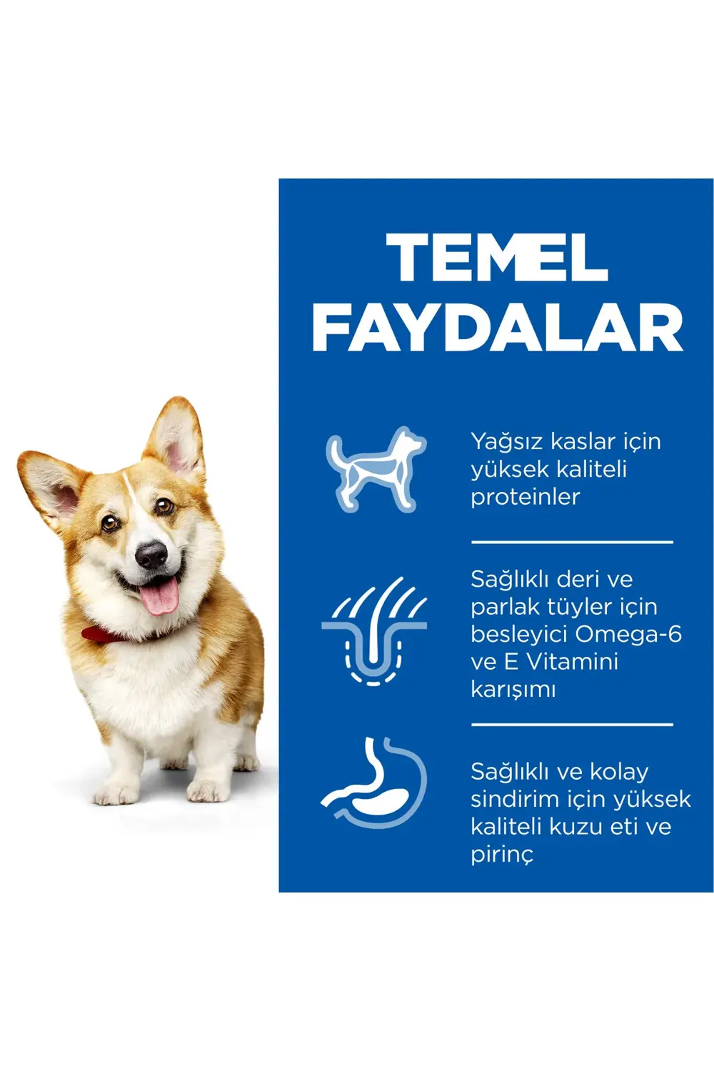 SCIENCE PLAN Kuzulu ve Pirinçli Küçük ve Mini Irk Yetişkin Köpek