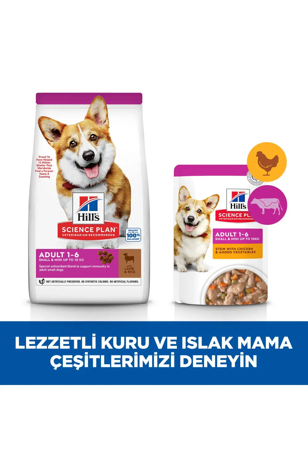 SCIENCE PLAN Kuzulu ve Pirinçli Küçük ve Mini Irk Yetişkin Köpek