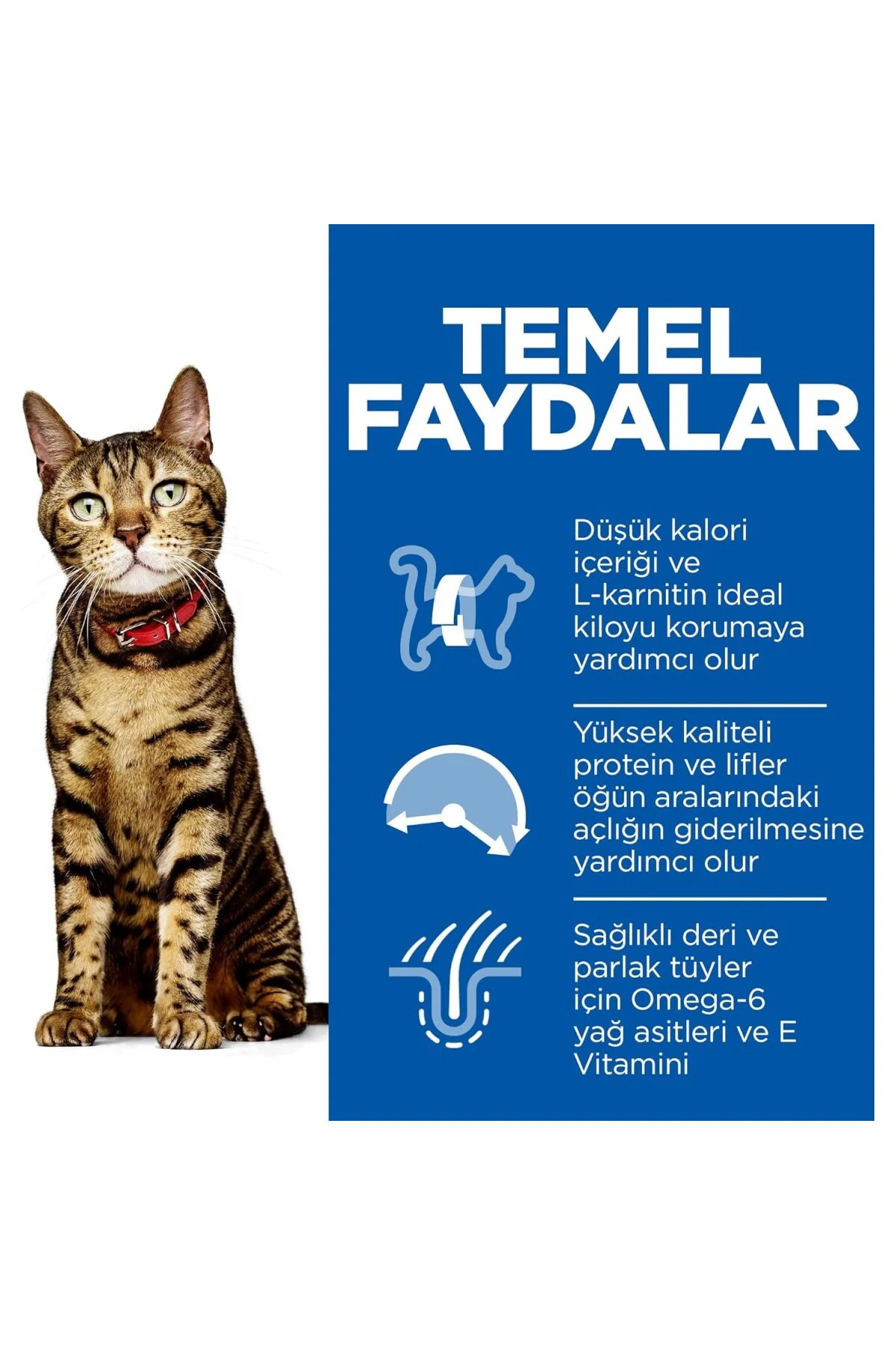 SCIENCE PLAN Light Yetişkin Tavuklu Kedi Maması 3 kg
